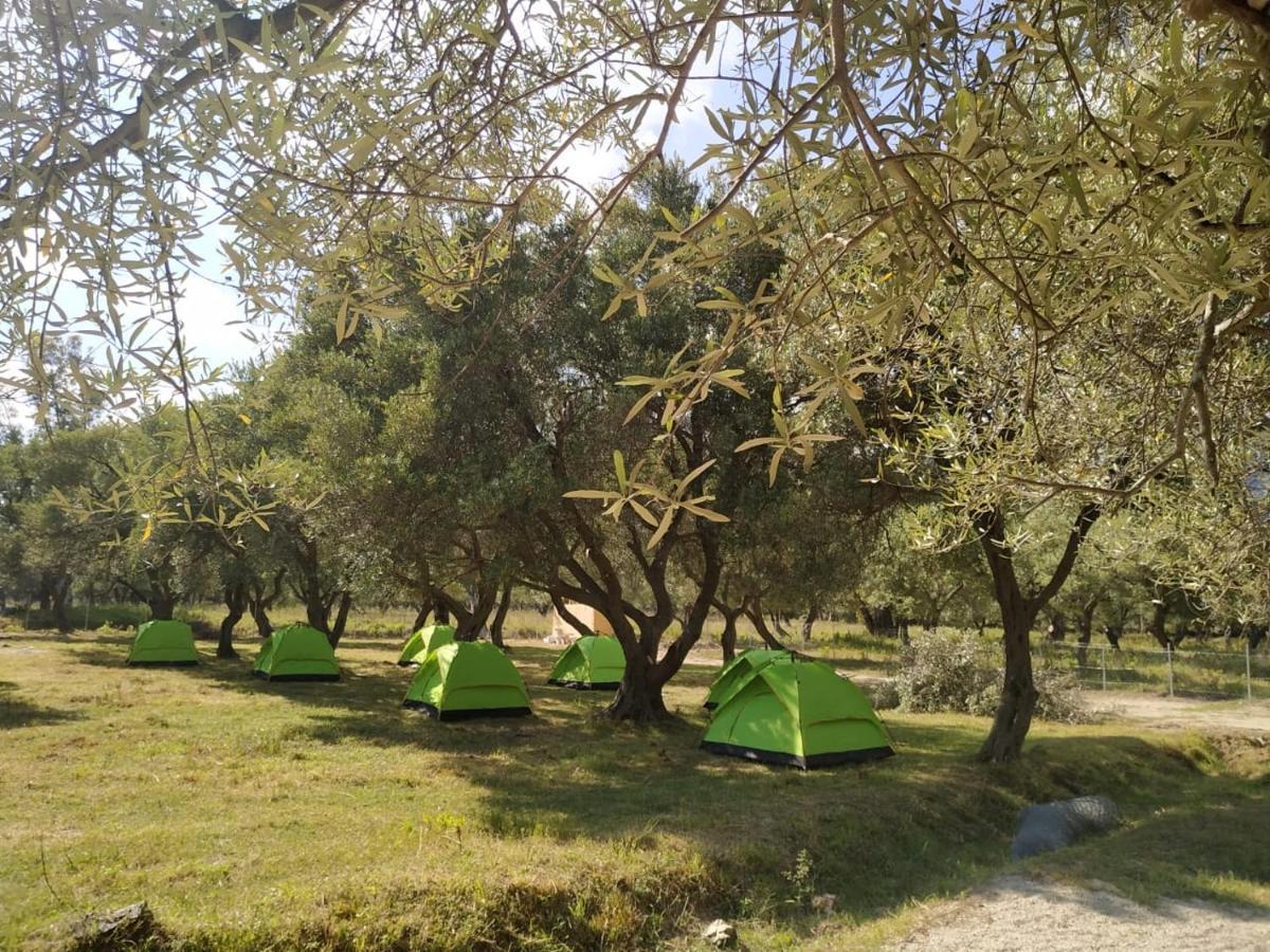 Hotel Cika'S Camping Borsh Exteriér fotografie